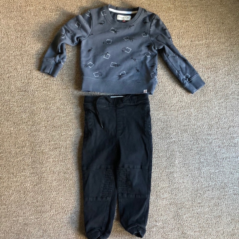 Dinosaur sweatshirt and jogger pants